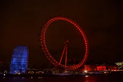 DSC_5719 (Large).JPG